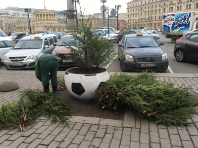 "Озеленение" клумб с помощью веток. Фото: vk.com/mytndvor